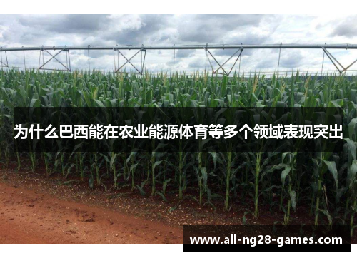 为什么巴西能在农业能源体育等多个领域表现突出