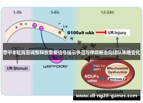 意甲本轮阵容调整释放重要信号揭示争冠与保级新走向球队策略变化